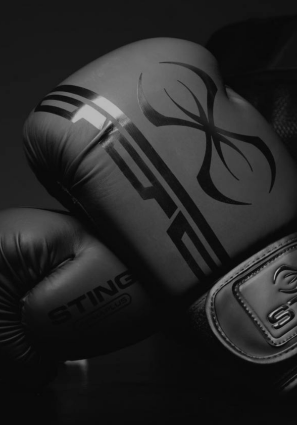 Sting_Banner1.3_600x_crop_center Sting_Banner1.3_600x_crop_center